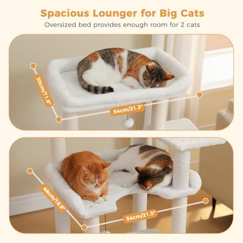 PAWZ Road Cat Tree for Large Cats - Image 4