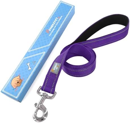 6 FT Basic Dog Leash for Medium Dogs - Image 6