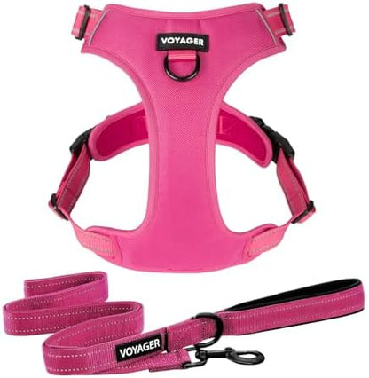Voyager Dog Harness Dual Leash Attachment No-Pull Control Adjustable Soft but by BestPetSuppliesLLC