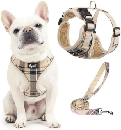 PUPTECK Small Dog Harness and Leash Set No Pull by PUPTECK