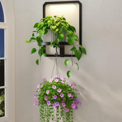 LASZOLA Plant Picture Frame Holder Shelf Wall by LASZOLA