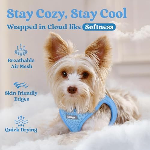 rabbitgoo Step-in Small Dog Harness, Puppy Vest - Image 3