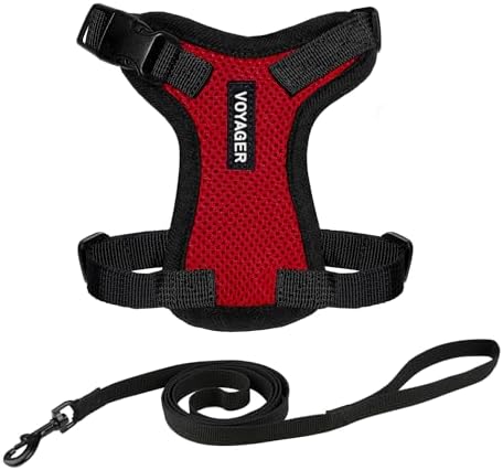 Voyager Step-in Lock Cat Harness & Leash Set by BestPetSuppliesLLC