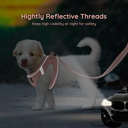 BELLA & PAL Step in Puppy Harness and Leash Set - Image 4