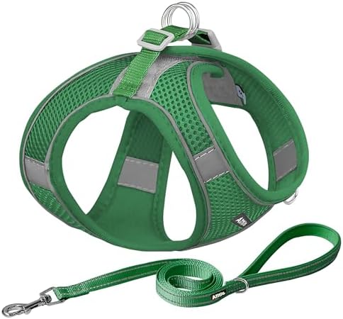 AIITLE Small Dog Harness and Leash Set, Step-in Puppy Pet Vest by AIITLE-FORPETSBETTERLIFE