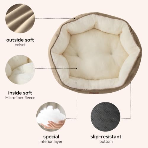 Asvin Small Dog Bed for Small Dogs, Cat Beds for Indoor Cats, Pet Bed for Puppy - Image 3