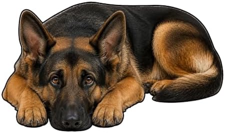 3D Realistic Dog Shaped Bath Mat & Floor Rug by MOFABIA