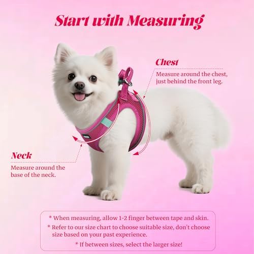 No Pull Dog Puppy Harness and Leash Set Reflective Mesh Vest Large - Image 2