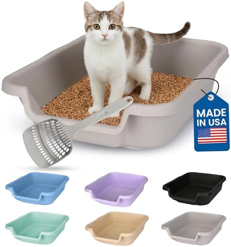 KittyGoHere Senior Cat Litter Box Small by NE14pets