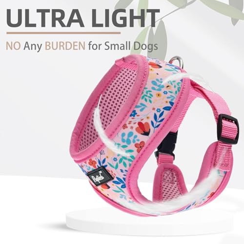 PUPTECK Small Dog Harness and Leash Set No Pull - Image 5