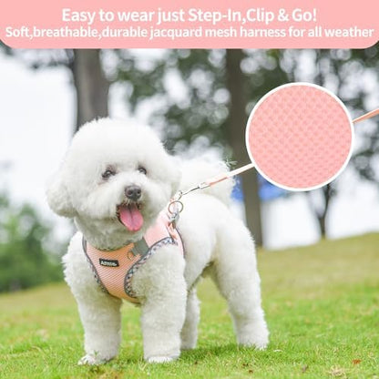 AIITLE Teacup Puppy Harness - Image 5