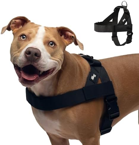 Dog Friendly Co. Dog Harness for Medium Sized Dogs by DogFriendly