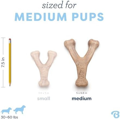 Benebone Puppy Wishbone Dog Chew Toy - Image 4