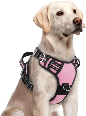rabbitgoo Dog Harness for Large, No Pull 3 Buckles Easy On & Off by rabbitgoo