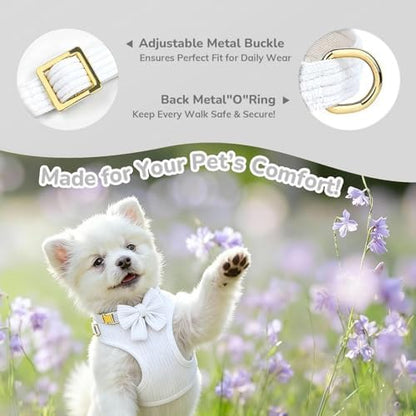 Small Dog Collar Harness and Leash Set - Image 3