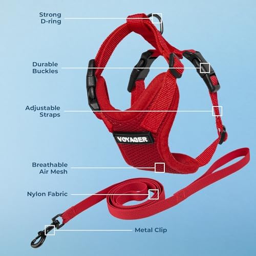 Voyager Step-in Lock Cat Harness & Leash Set - Image 3