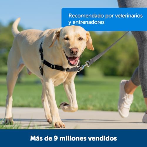PetSafe Easy Walk Harness, No Pull Dog Harness, Royal Blue, Medium/Large - Image 3
