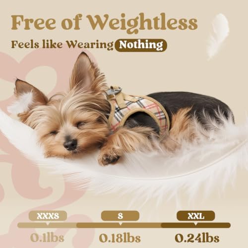 rabbitgoo Step-in Small Dog Harness, Puppy Vest - Image 5