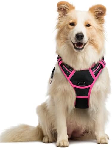 rabbitgoo Dog Harness, No Pull Medium Sized by rabbitgoo