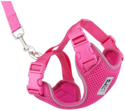 RC Pets Adventure Kitty Cat Harness | Adjustable Airmesh Vest by RCPets