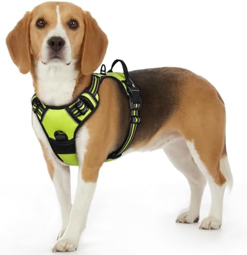 Eagloo Dog Harness for Small Dogs, No Pull Pet Vest by GoExplorewithEagloo