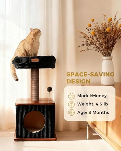 Small Cat Tree for Indoor Kittens - Image 5