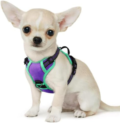 Eagloo Dog Harness for Small Dogs, No Pull Pet Vest by GoExplorewithEagloo