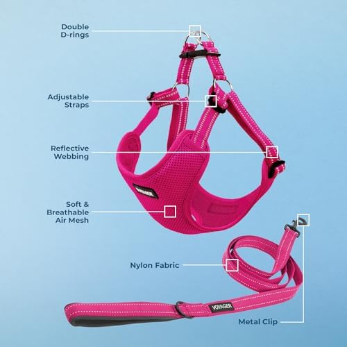 Best Pet Supplies Voyager Adjustable Step-in Flex Breathable Mesh Dog Harness - Image 3