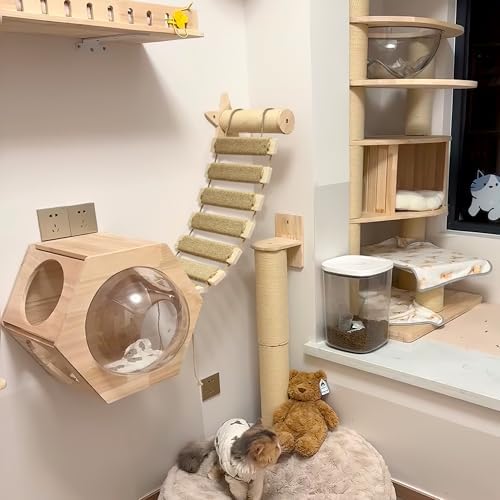 Adjustable Cat Ladder & Bridge - Image 3