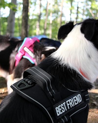 AUROTH Dog Harness and Leash Set - Image 2