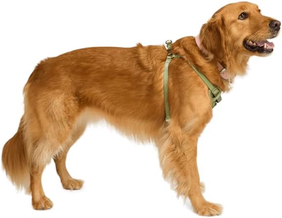 EveryYay by Petco Step in Dog Harness Olive Small - Image 4