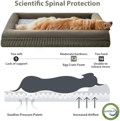 WNPETHOME XL Extra Large Orthopedic - Image 3