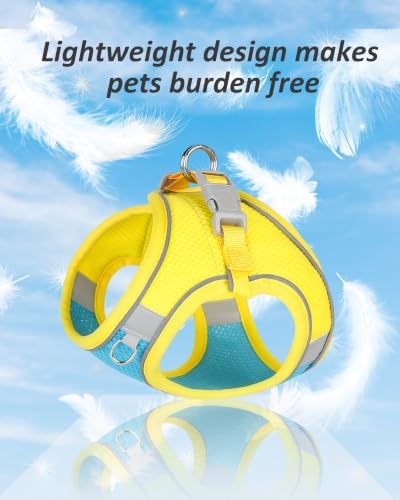 Solmoony Dog Harness for Small Medium Dogs No Pull, Puppy Harness and Leash Set - Image 3
