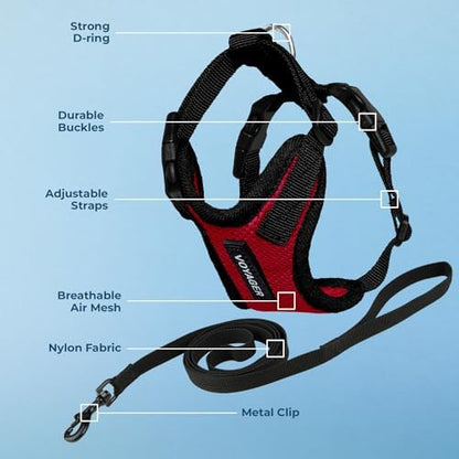 Voyager Step-in Lock Cat Harness & Leash Set - Image 3