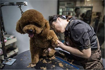 CLCK Pet Dog Grooming Loops - Image 5