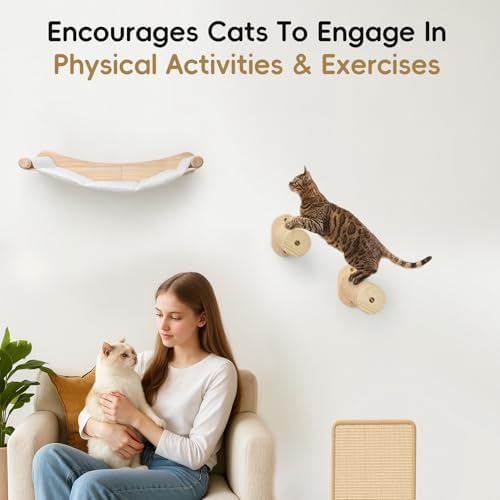 Cat Wall Hammock, Large Wall Shelves Bed and Scratcher Board - Image 4