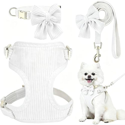 Small Dog Collar Harness and Leash Set by Unknown