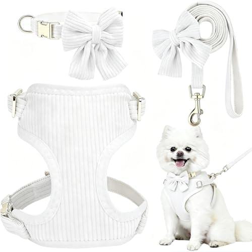 Small Dog Collar Harness and Leash Set by Unknown