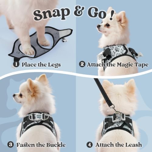 rabbitgoo Dog Harness Small Sized and Leash Set, Step in Soft Vest - Image 2