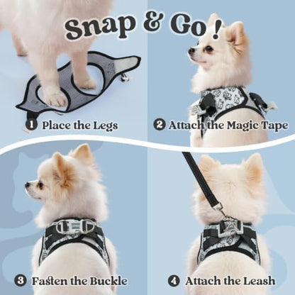 rabbitgoo Dog Harness Small Sized and Leash Set, Step in Soft Vest - Image 2