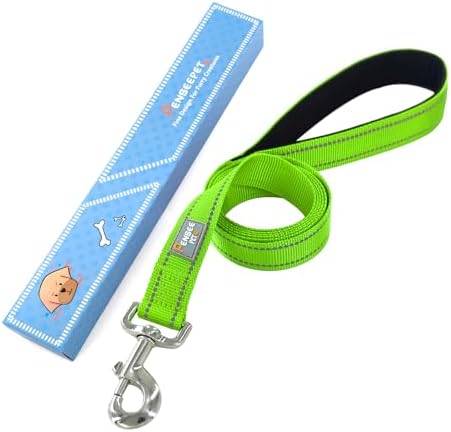 6 FT Basic Dog Leash for Large Dogs - Image 6