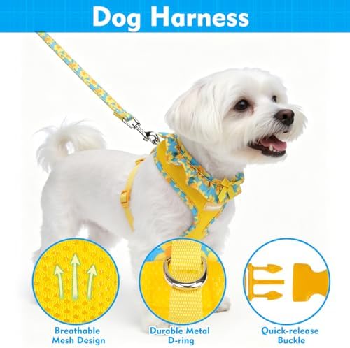 EXPAWLORER Step-in Dog Harness Small Sized and Leash Set - Image 3