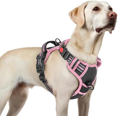 rabbitgoo Dog Harness for Large, Updated Easy On & Off by rabbitgoo