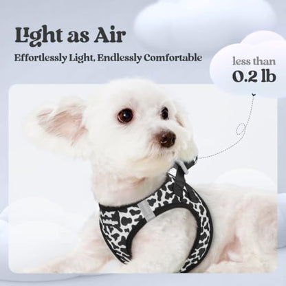 rabbitgoo Dog Harness Small Sized and Leash Set, Step-in Puppy Pet Vest - Image 3