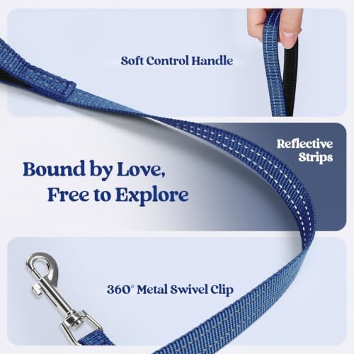 rabbitgoo Dog Harness Medium Sized and Leash Set, Step-in Puppy Pet Vest - Image 7