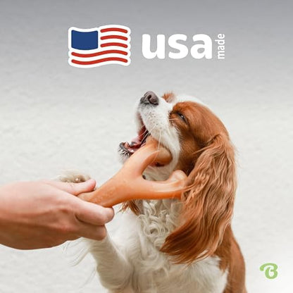 Benebone 2-Pack Wishbone Chew Toy - Image 5