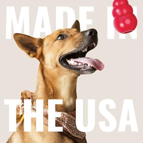 KONG Ring - Natural Rubber Ring Toy - Image 5