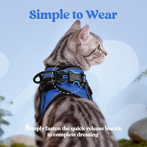 rabbitgoo Cat Harness and Leash Set, Step-in Soft Vest - Image 5