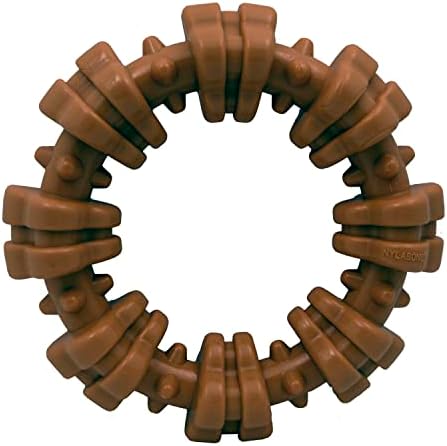 Nylabone Textured Ring Power Chew Toy by Nylabone