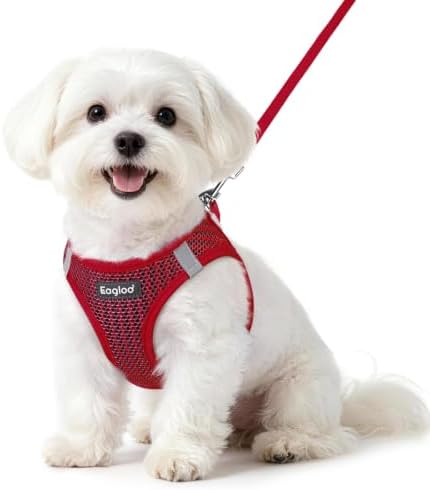 Eagloo Small Dog Harness and Leash Set, Step in Small Sized Puppy Pet Vest by GoExplorewithEagloo